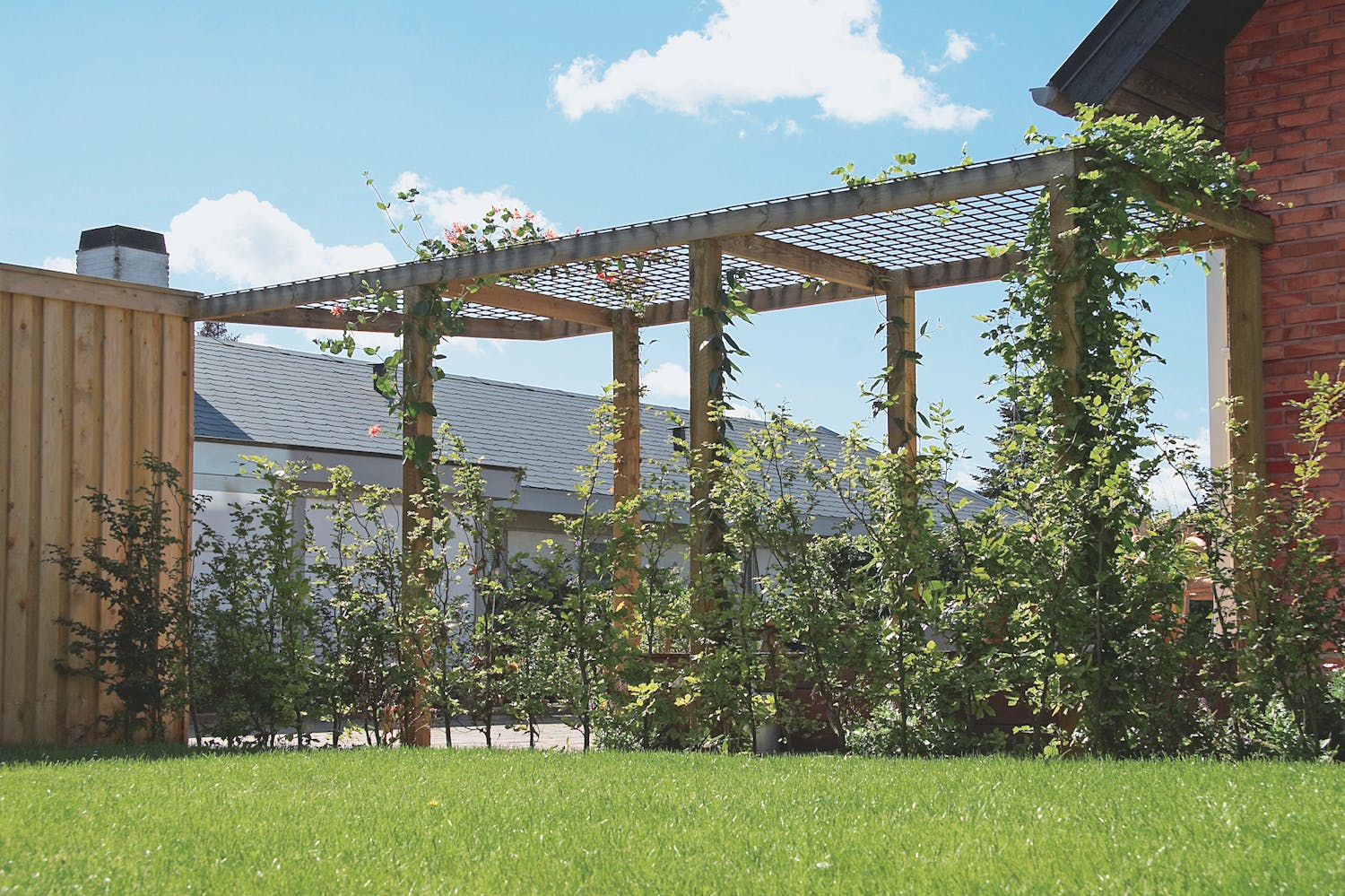 Pergola med "tag" af stålnet